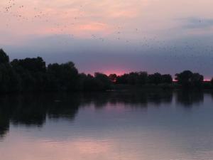 river sunset igris